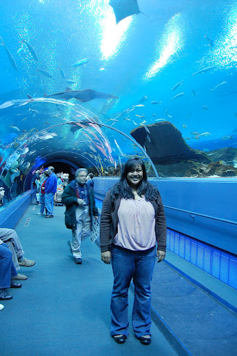 In the deep blue ...sorta, hehe.