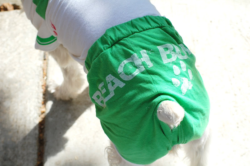 Mauis cute beach bum shorts!