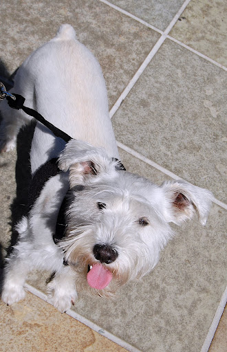 Its so hot today in Japantown!