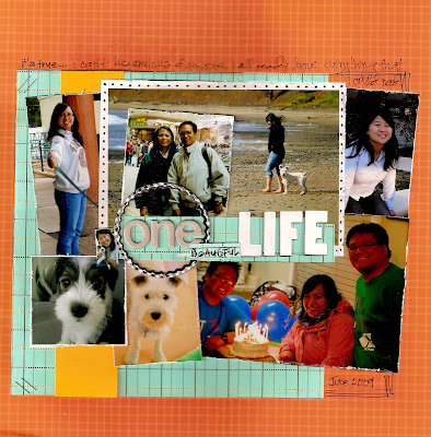 One Beautiful Life