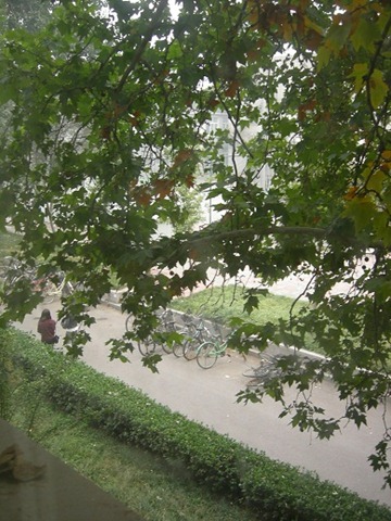 [DSCN3242-2.jpg]