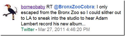 BZC Tweet about Adam Lambert