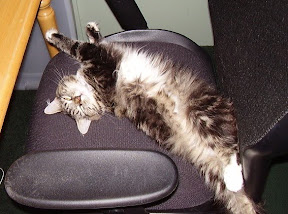 Sleeping... it\