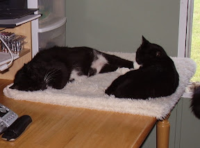 Simon & Jack Napping