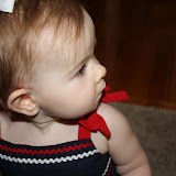 Firecracker_0_008.JPG