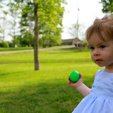 IMG_3116.jpg