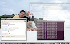  &ndash; My Desktop on Ubuntu 10.04 Lucid Lynx