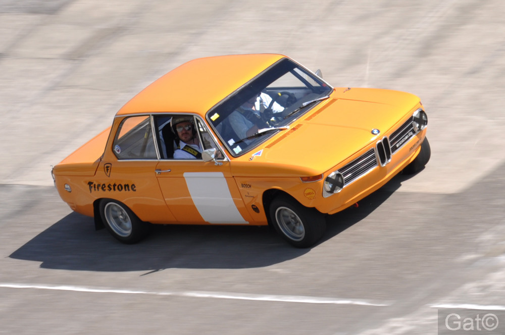 [Image: DSC_0261.JPG]