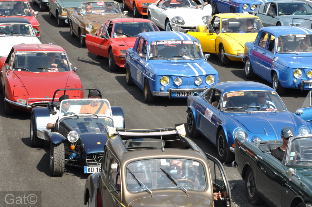 [Image: DSC_0106.JPG]