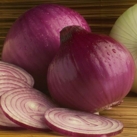 [cebolla-morada[4].jpg]