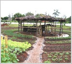 [1211img_oque_agri_1[4].jpg]