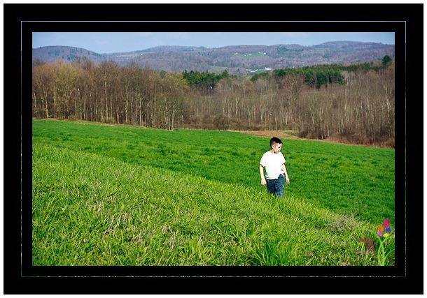 family_photo_shoot_farm-5