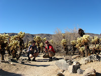 IMG_5870.JPG (Pinto Wye, California, United States) Photo