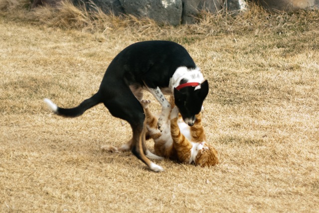 [DSC_4639[3].jpg]