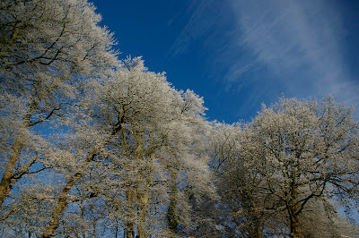 Snowy Dumfries