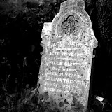 Clifton Genealogy
