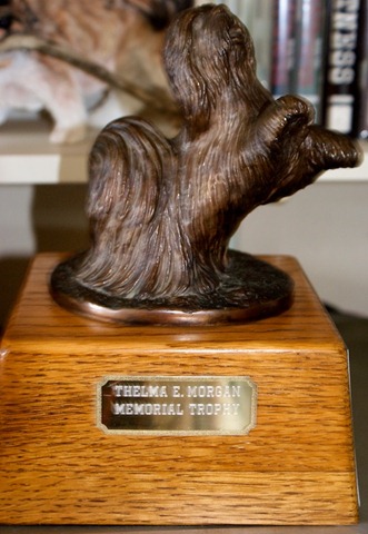 [TM Trophy 103[2].jpg]