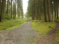 DSC07815.JPG Photo
