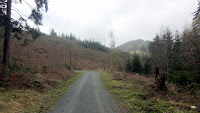 CIMG0415.JPG Photo