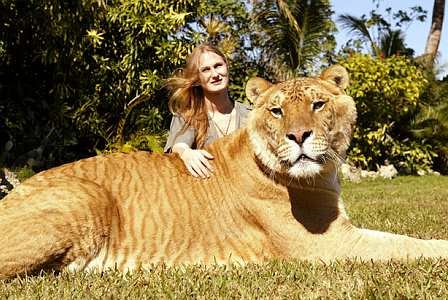 gigantes