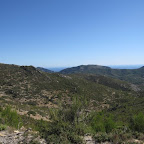 IMG_1403.jpg