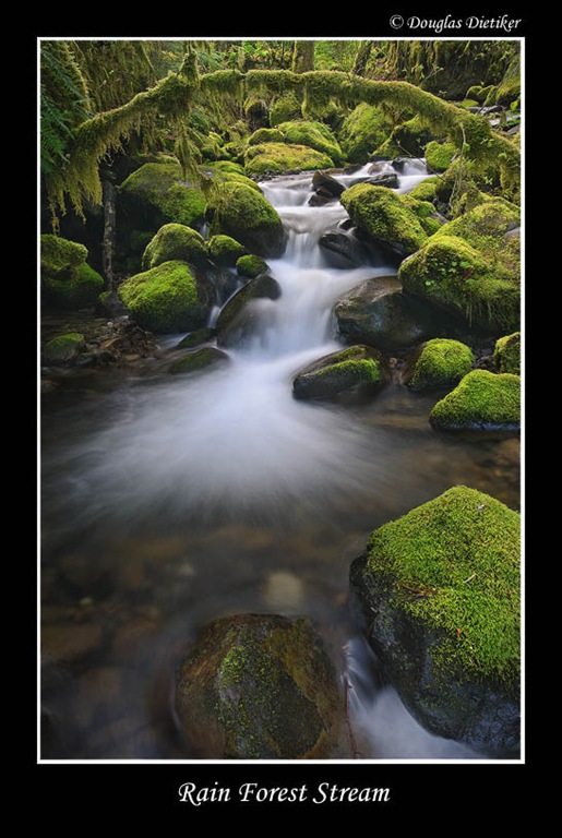 [_1001527 700[7].jpg]