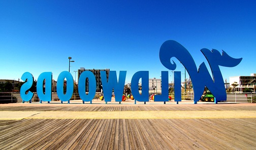 Wildwoods_IMGP0234