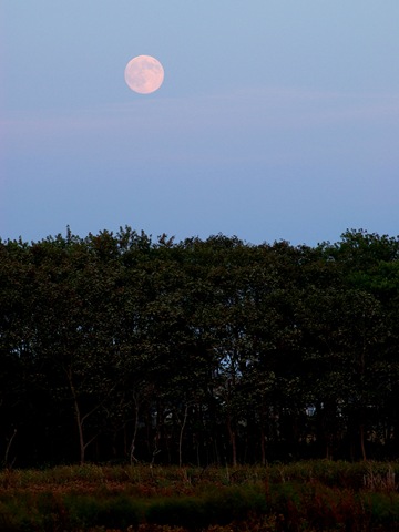Moonrise_IMGP0505