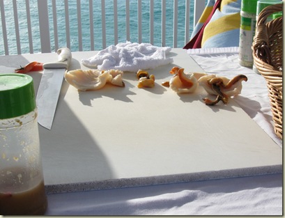 Bimini_3081