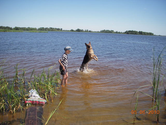 Зображення