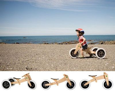 Bici Ecol&oacute;gica