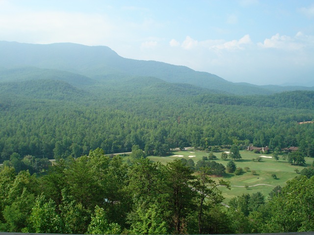 [Picture3244.jpg]