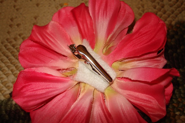 [DSC020474.jpg]