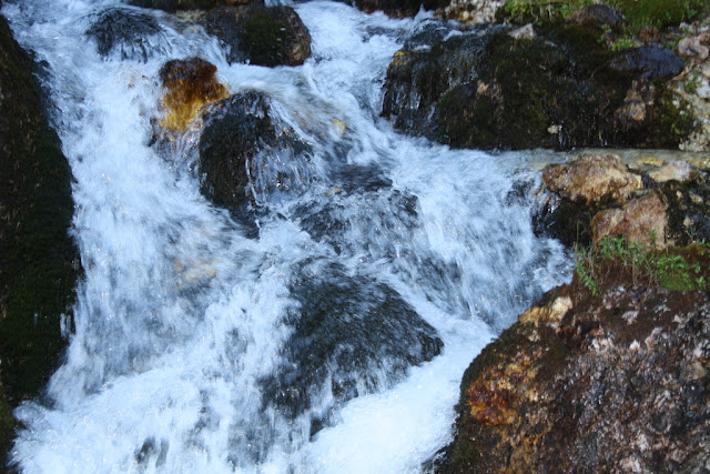 IMG_7393.JPG