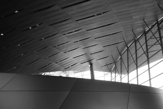 IMG_7075.JPG