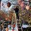 DSCN6774.jpg