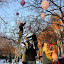 DSCN6781.jpg