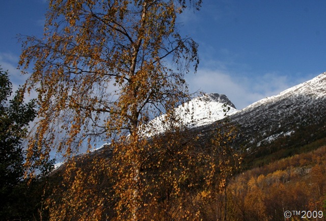 [Beisfjordtøtta i vinterdrakt...jpg]