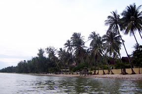 100_2825.JPG