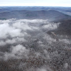 Ice Storm Damage survey: Leg One, Little Rock to Fayetteville