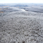 Ice Storm Damage survey: Leg One, Little Rock to Fayetteville