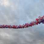 Race For the Cure;  Part 1