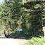 Forest Road 23