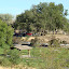 Tent camping is under the trees Tent camping is under the trees