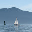 JoJoma in Rosario Strait
