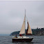 More of Whisper sailing in Port Madison More of Whisper sailing in Port Madison
