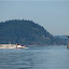 Fishing on Hood Canal bank