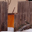 Next stop: our neighbors back yard, through another section of fence. Next stop: our neighbors back yard, through another section of fence.