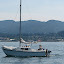 Harry P heading toward Squalicum Harbor Marina