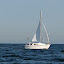 Harry P in Rosario Strait